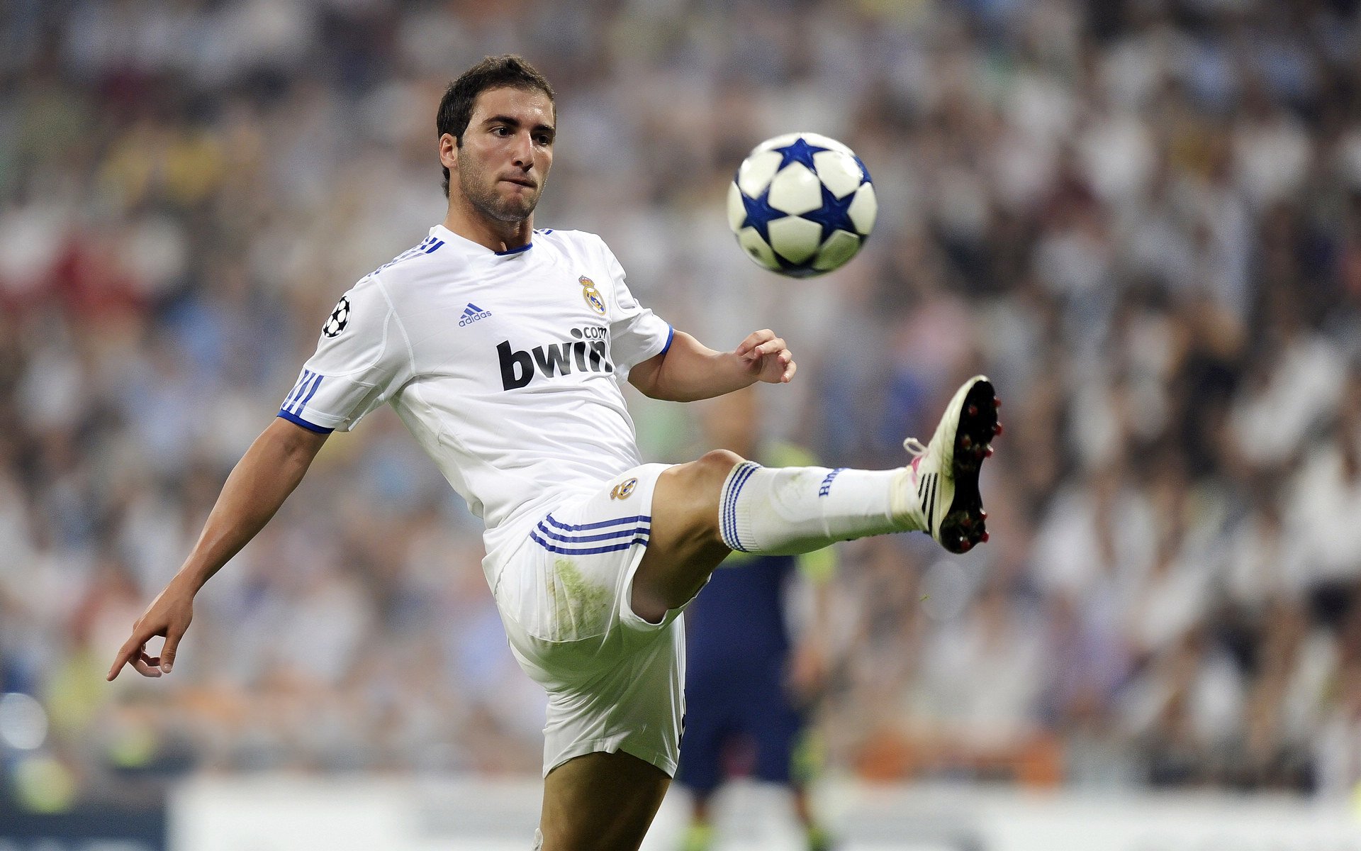 《王者荣耀》明星主播联手直播,观众热情高涨,王者直播名人